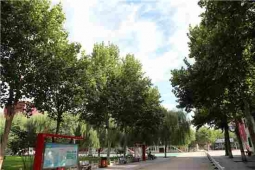 http://www.xatqmba.cn/school-213/document-id-448.html